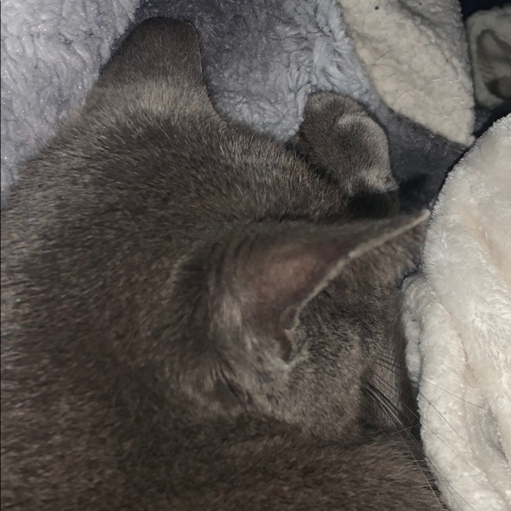 Meet your Posher, Trinity